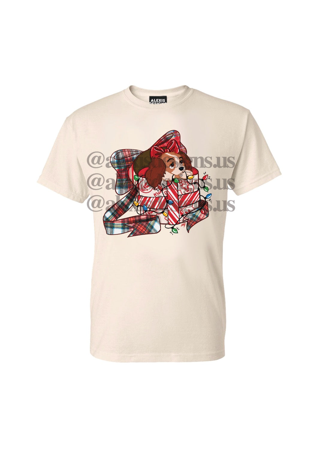 LADY IN A PRESENT T SHIRT