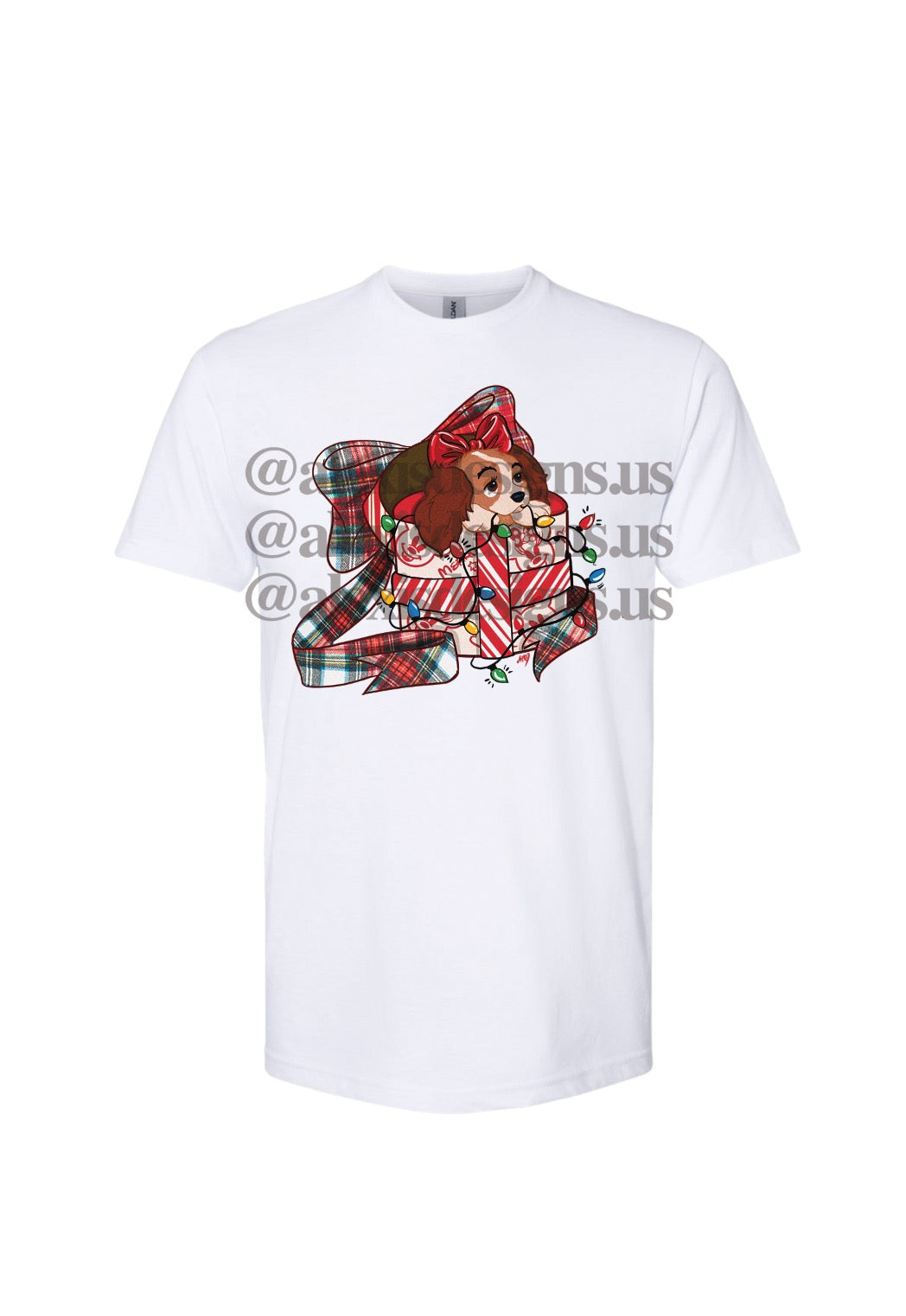 LADY IN A PRESENT T SHIRT